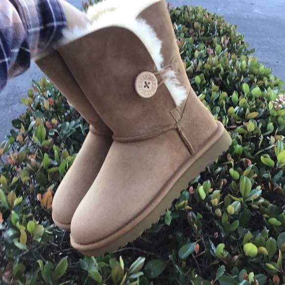 UGG BAILEY BUTTON II SHORT CHESTNUT New in Box - Picture 11 of 11